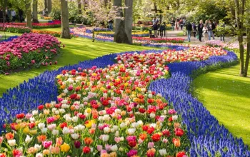 Květinový park Keukenhof s návštěvou Amsterdamu