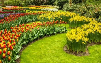 Květinový park Keukenhof s návštěvou Amsterdamu