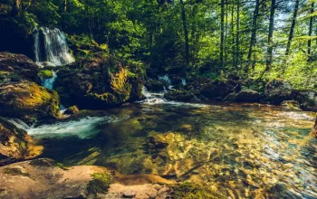 Kaňon Medvědí soutěska