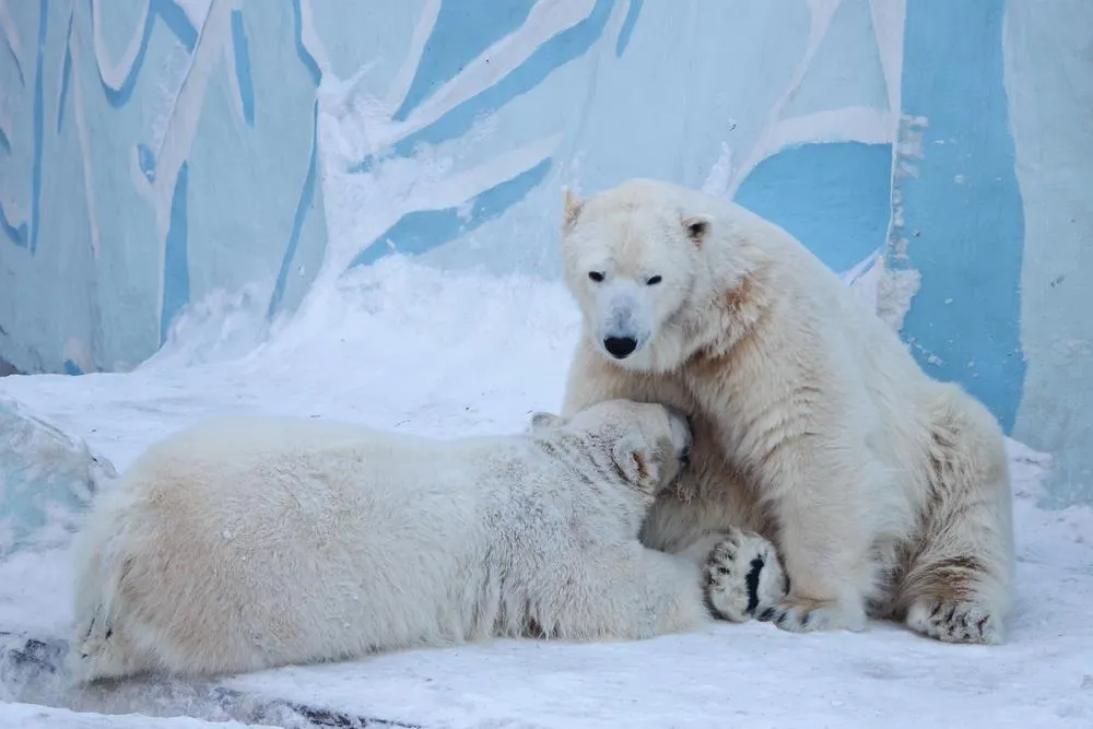 Delfinárium a ZOO v Norimberku