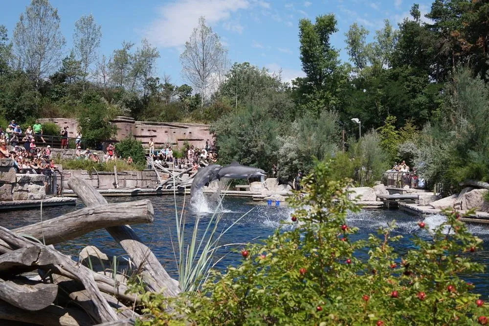 Delfinárium a ZOO v Norimberku