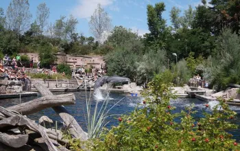 Delfinárium a ZOO v Norimberku