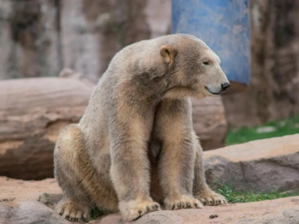 Delfinárium a ZOO v Norimberku