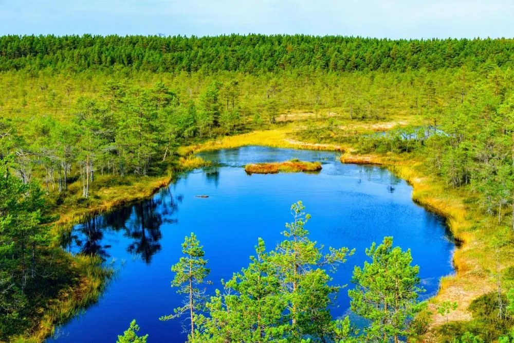 Helsinky, hlavní města Pobaltí a národní park Lahemaa