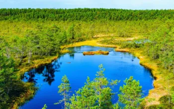 Helsinky, hlavní města Pobaltí a národní park Lahemaa