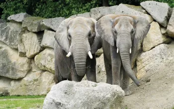 ZOO Vídeň a zámek Schönbrunn