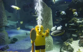 Legoland se vstupem v ceně