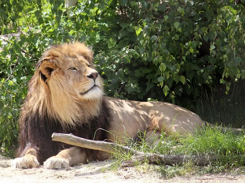 ZOO Herberstein a nejteplejší jezero v Alpách