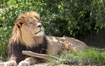 ZOO Herberstein a nejteplejší jezero v Alpách