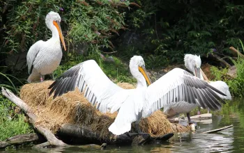 ZOO Herberstein a nejteplejší jezero v Alpách