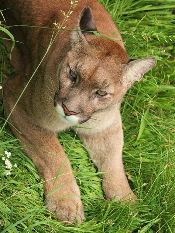 ZOO Herberstein a nejteplejší jezero v Alpách