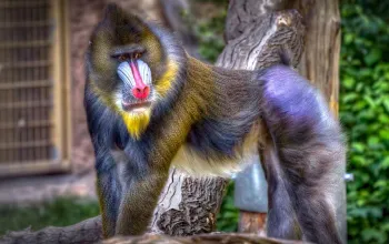 ZOO Herberstein a nejteplejší jezero v Alpách