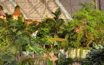 Koupání v exotickém vodním ráji Tropical Islands
