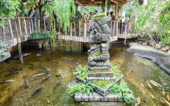 Tropicarium a ZOO Budapešť
