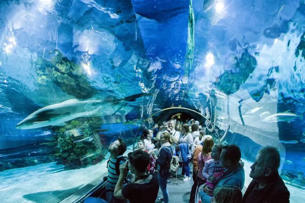 Tropicarium a ZOO Budapešť