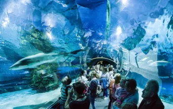 Tropicarium a ZOO Budapešť
