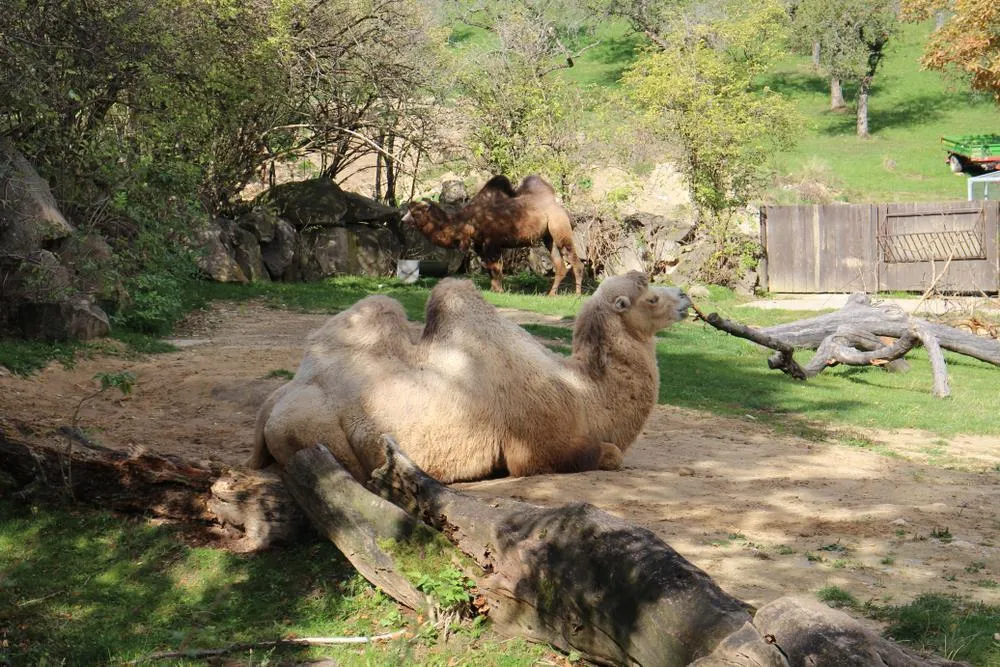 Bojnice – zámek a ZOO