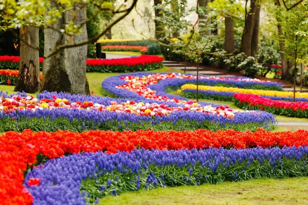 Květinový park Keukenhof