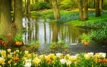 Květinový park Keukenhof