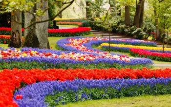 Květinový park Keukenhof
