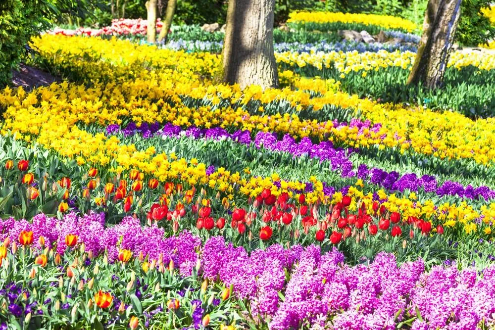 Květinový park Keukenhof