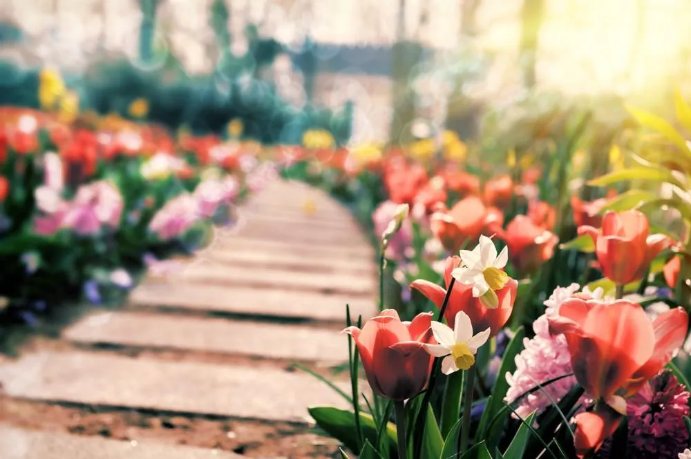 Květinový park Keukenhof