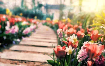 Květinový park Keukenhof