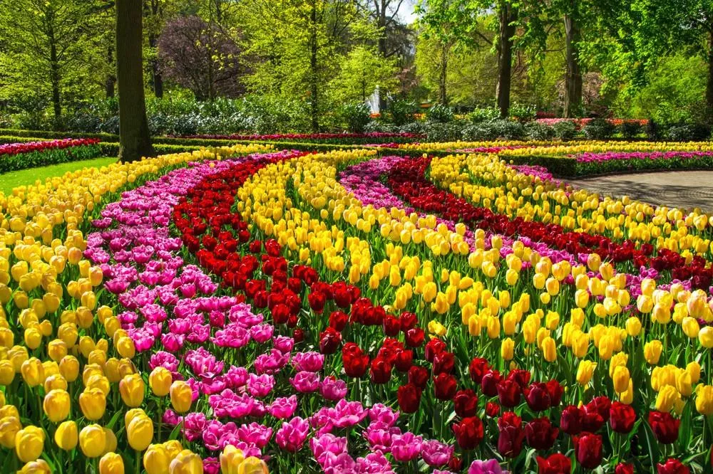 Květinový park Keukenhof