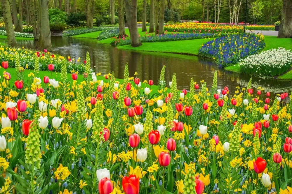 Květinový park Keukenhof