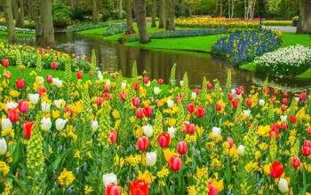 Květinový park Keukenhof