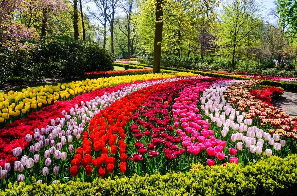 Květinový park Keukenhof