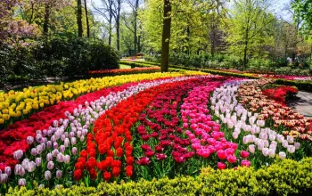 Květinový park Keukenhof