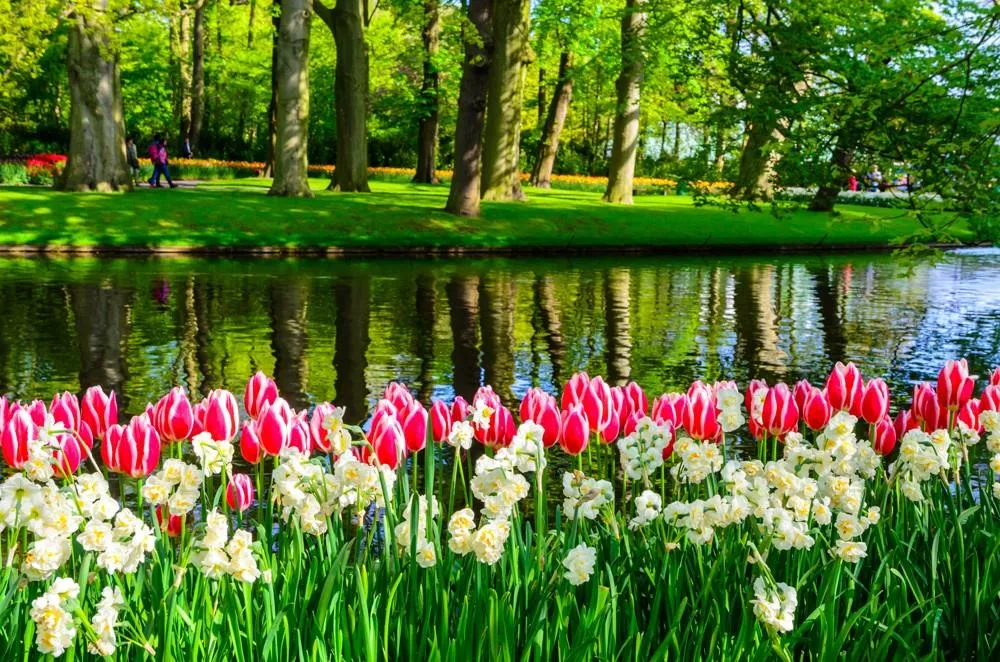 Květinový park Keukenhof