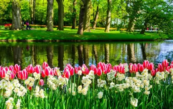 Květinový park Keukenhof