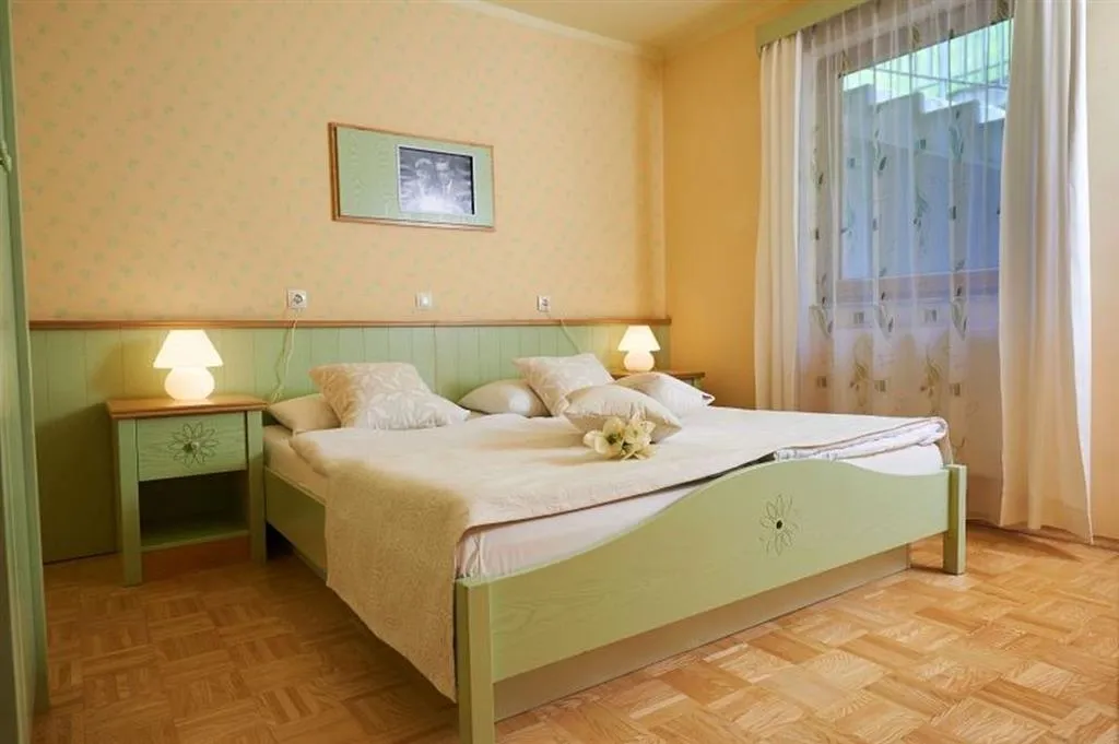 Termální balíček v Terme Snovik