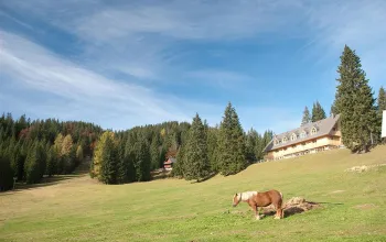 Hotel Jelka