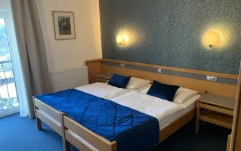 Hotel Alp