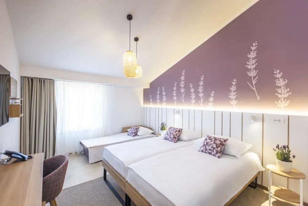 Hotel Vile Park Premium