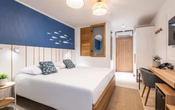 Hotel Vile Park Premium