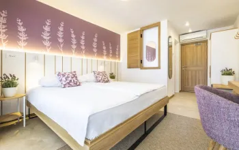 Hotel Vile Park Premium