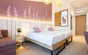 Hotel Vile Park Premium