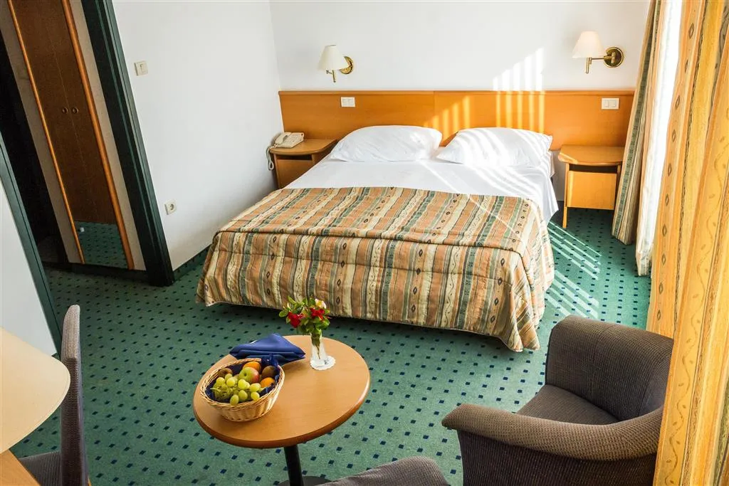 Hotel Vile Park Standard