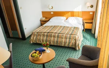 Hotel Vile Park Standard