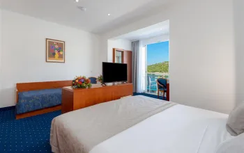 Hotel Vis