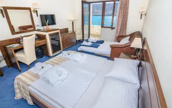 Hotel Pagus