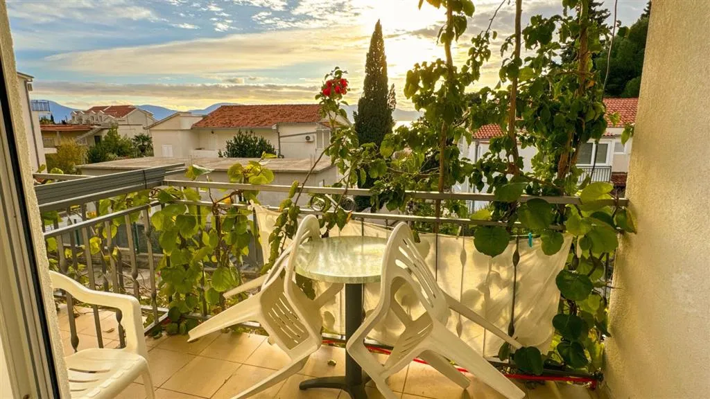 Vila Mirko