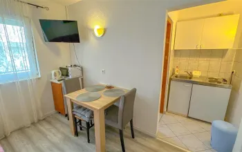 Vila Mirko