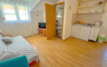 Vila Mirko
