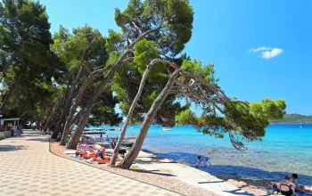 Camping park Soline
