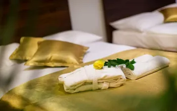 Wellness pobyt s dopravou, polopenzí a ochutnávkou na farmě v ceně v hotelu RimskiZdraviliški Dvor